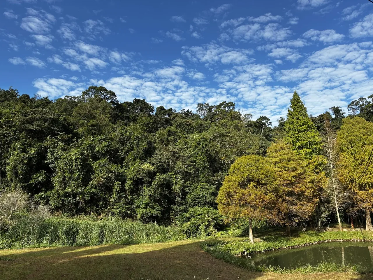 大地農場水域與周圍山林